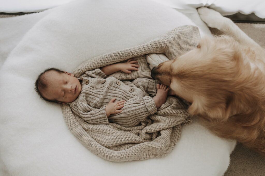 cute newborn baby photo ideas
